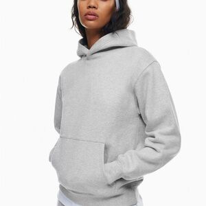 Aritzia Gray Hoodie Sweater
